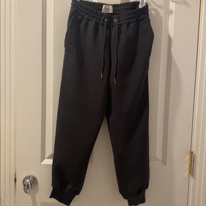 Aritzia Wilfred Joggers